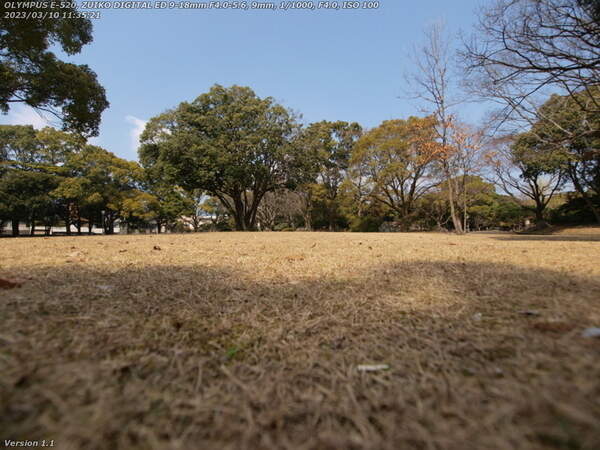 南立石公園(別府市) 春の南立石公園