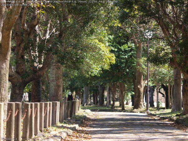 南立石二区(別府市) 境川の土手上の遊歩道