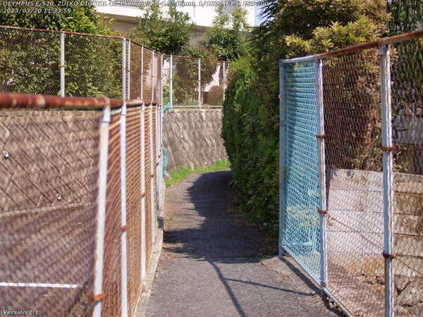 鶴見(別府市) 細い道