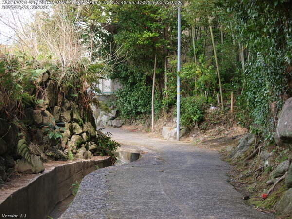 竹の内(別府市) 小道