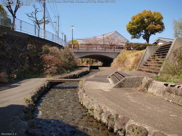 板地川(別府市) 板地川の遊歩道から見えるコミュニティセンター