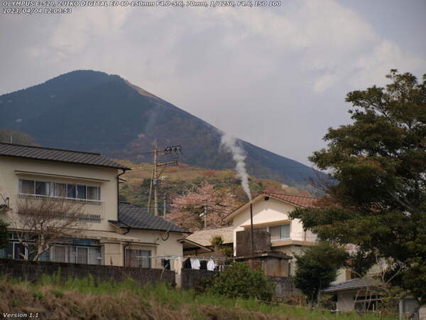 堀田(別府市) 野焼き翌日の扇山