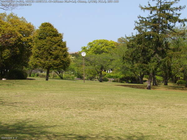 南立石公園(別府市) すっかり緑色になった