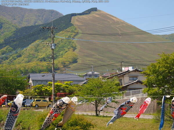 境川(別府市) 扇山と鯉のぼり