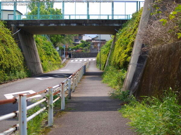 竹の内(別府市) 大平山小学校といえばこの空中通路