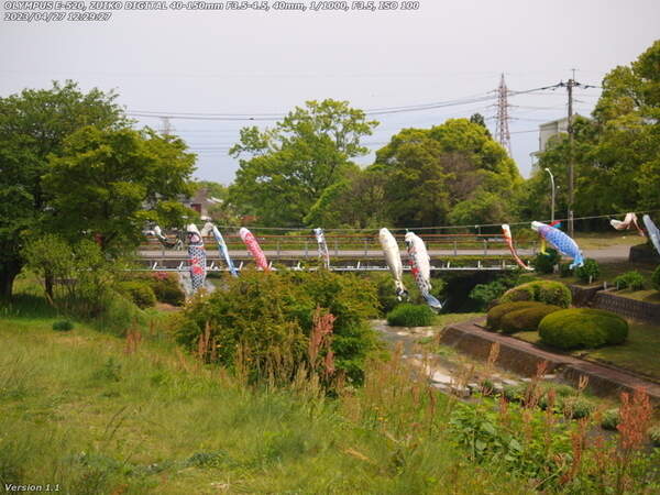 境川(別府市) 西別府橋と鯉のぼり