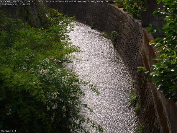 鶴見園町(別府市) 板地川歩道橋からの板地川の流れ