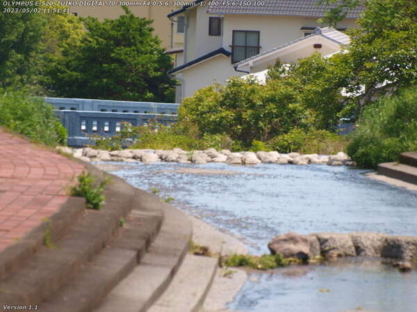 境川(別府市) 朝日橋が見えたので引き返す
