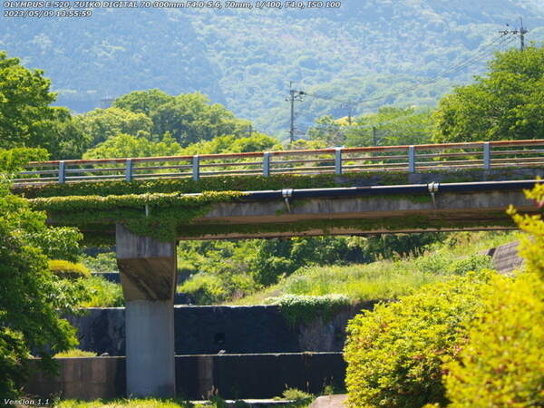 境川(別府市) 西別府橋