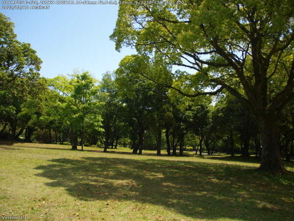 南立石公園(別府市) 初夏の南立石公園