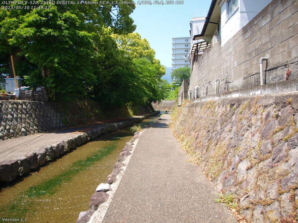 板地川(別府市) 上流を目指す