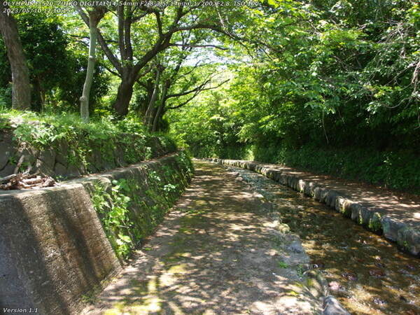 板地川(別府市) ここからしばらくは木陰になっている