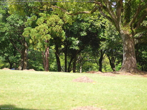 南立石公園(別府市) なぜか露出過多になった初夏の南立石公園
