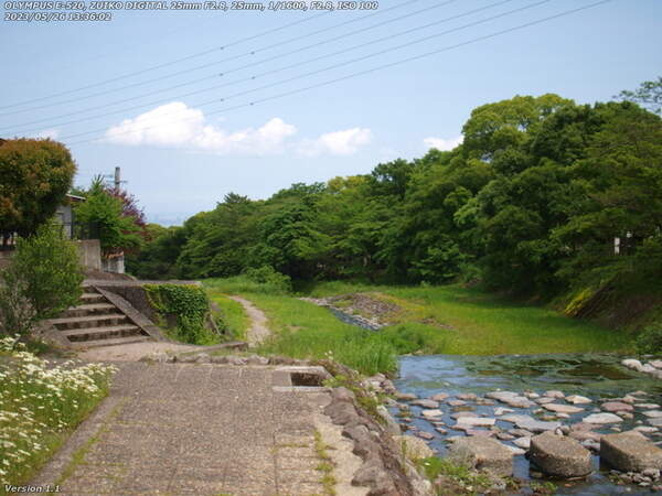 境川(別府市) 河川敷広場を下る
