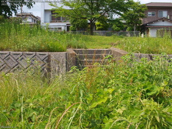 境川(別府市) 土手へ上るための階段がある