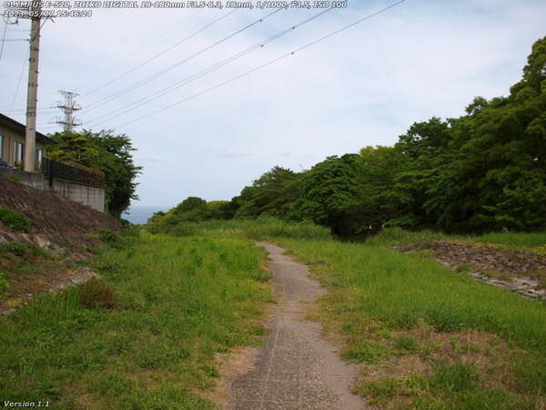 境川(別府市) 境川の河川敷広場を下る