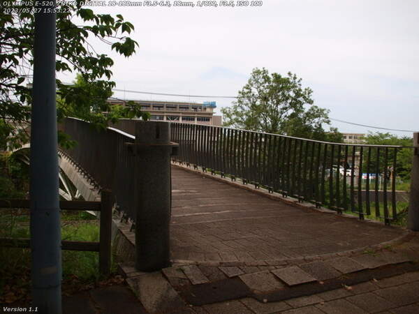 南立石公園(別府市) イナコスの橋