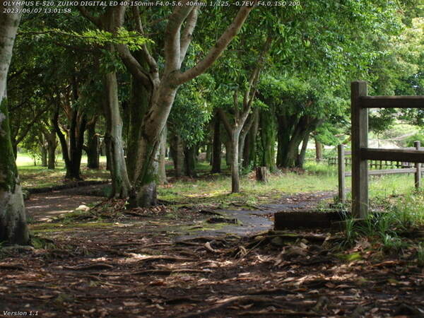 南立石公園(別府市) 南立石公園を通り抜ける