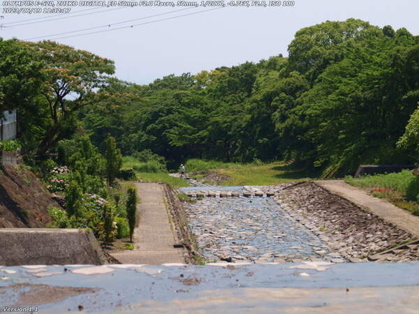 境川(別府市) 河川敷広場を下っていると飛び石を渡るオジサマを発見