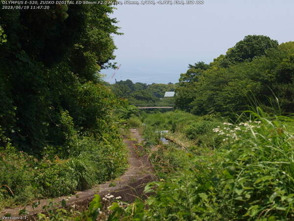 境川(別府市) イナコスの橋が見えてきた