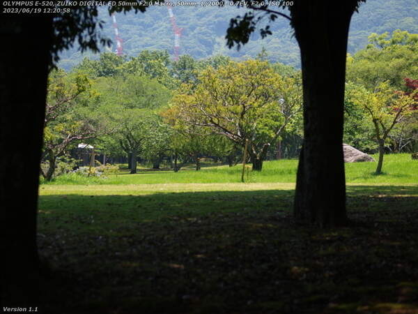 南立石公園(別府市) 夏の南立石公園