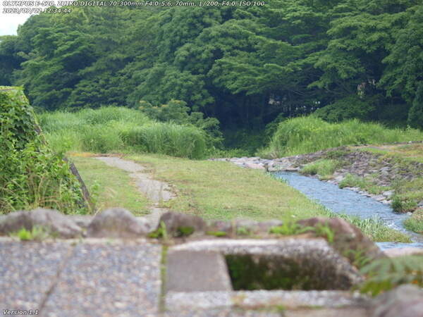 境川(別府市) 境川の河川敷広場を下る(PLフィルタあり)