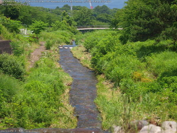 境川(別府市) 境川の流れ(PLフィルタあり)