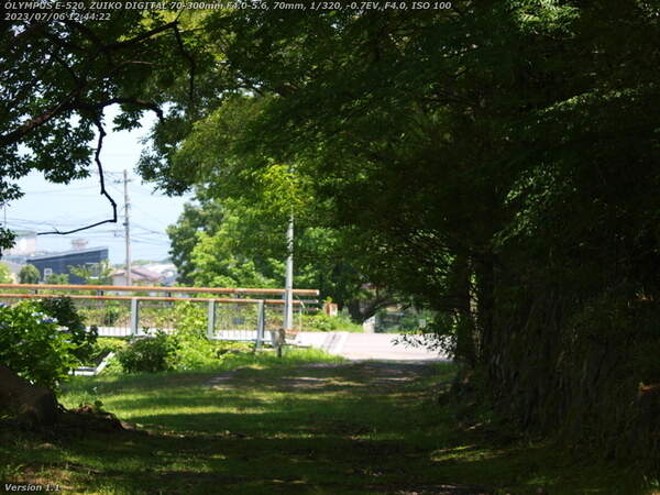 南立石生目町(別府市) 境川の土手上の未舗装路を下る