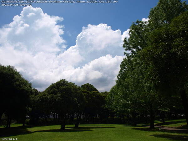 南立石公園(別府市) 真夏の南立石公園