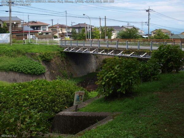 南立石生目町(別府市) アオサギらしき野鳥が飛び去った