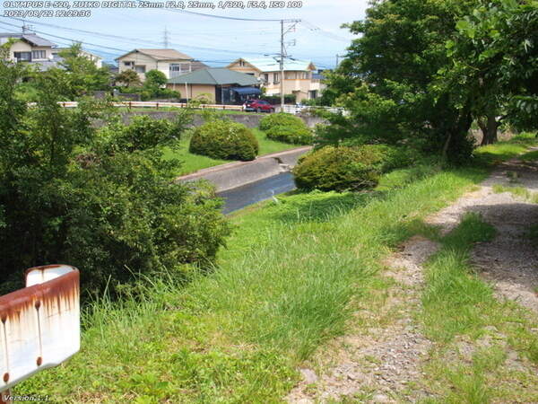 南立石二区(別府市) 佇むアオサギ