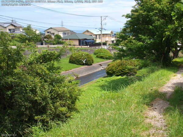 南立石二区(別府市) 飛び去るアオサギ