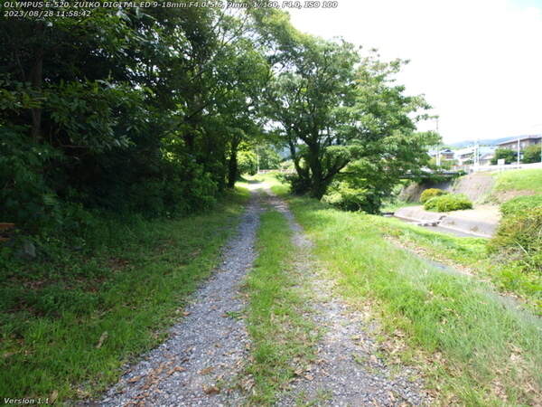 南立石二区(別府市) 西別府橋が見えてきた