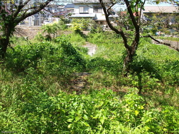 南立石二区(別府市) 境川の河川敷広場への道は草が生い茂っている