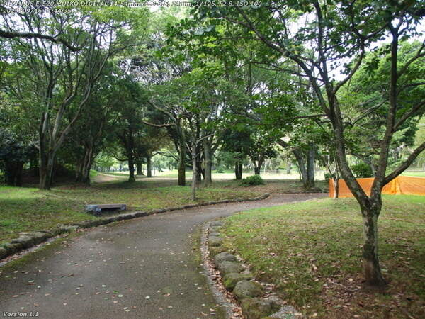 南立石公園(別府市) 南立石公園を進む