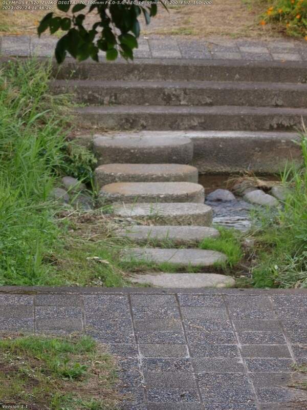 南立石生目町(別府市) 境川の河川敷広場へ入り飛び石で対岸に渡る