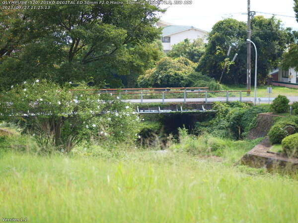 扇山町(別府市) 西別府橋