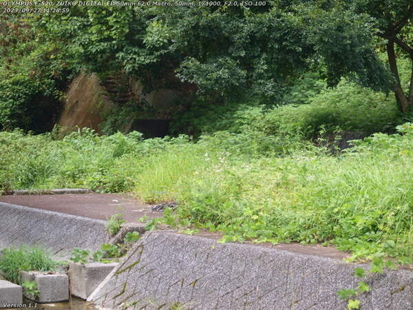 境川(別府市) 途中で途切れている階段