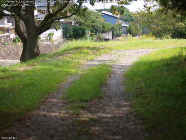南立石肉(別府市) 境川の土手上の未舗装路