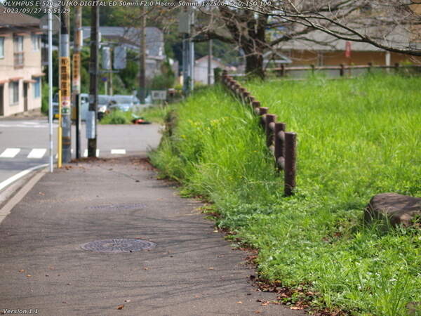 荘園(別府市) 道路を下る