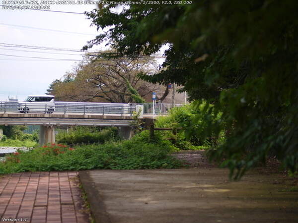 境川(別府市) 大学橋
