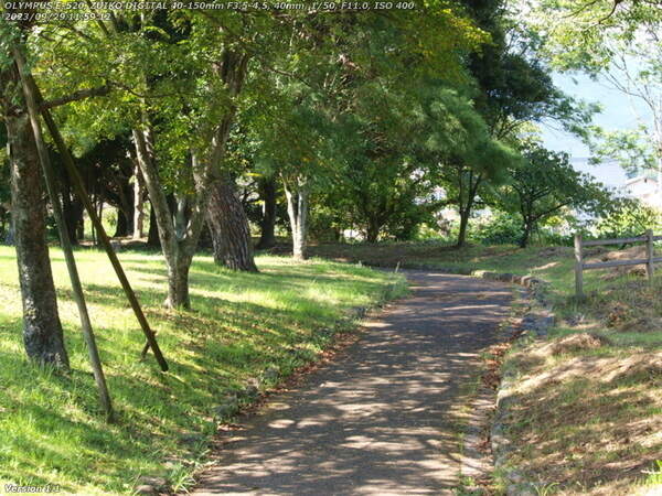 南立石公園(別府市) 南立石公園内を上る