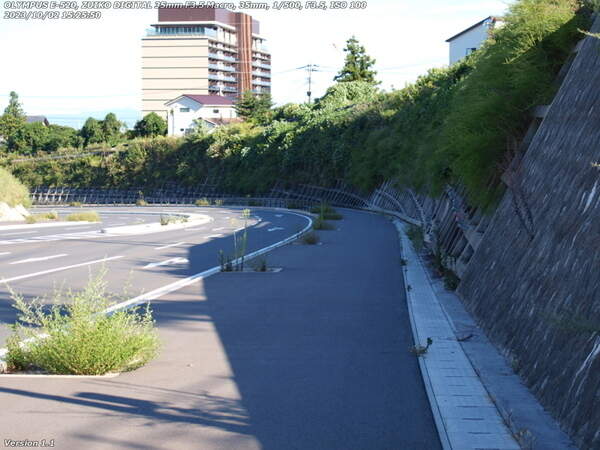 南立石本町(別府市) 52号線の新道と旧道の交差点を渡って上り車線側の歩道を下る