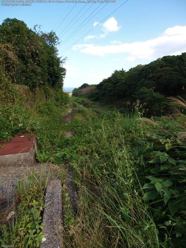 境川(別府市) イナコスの橋までは草ボーボー