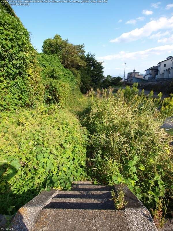 境川(別府市) であい橋の上流の草ボーボー地帯