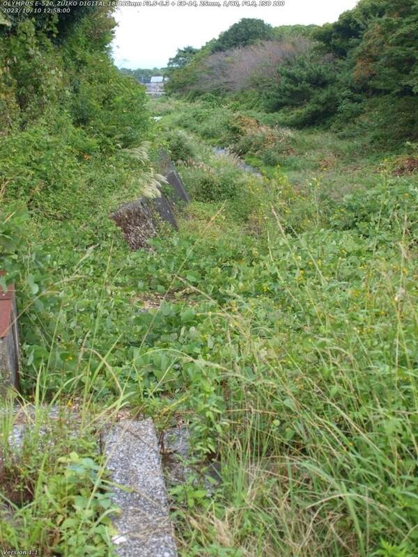境川(別府市) 草ボーボーで通れない