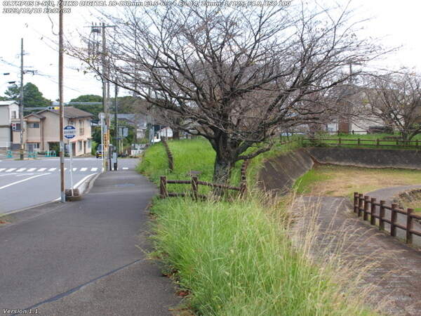 荘園(別府市) 境川の左岸の道路を下る