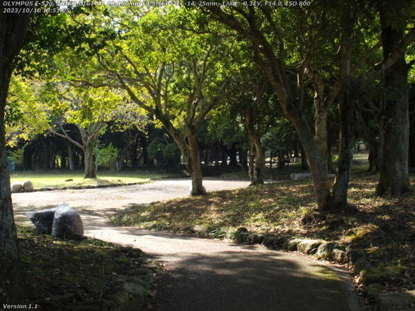 南立石公園(別府市) 南立石公園内を歩く