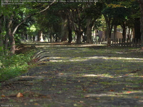 南立石二区(別府市) 境川の土手上の遊歩道で南立石公園へ向かう