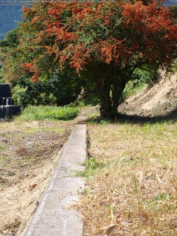 扇山町(別府市) 土手の傾斜部分を上流へ進む
